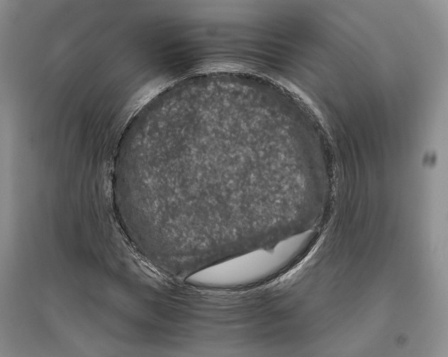 X0000096420921200802211120