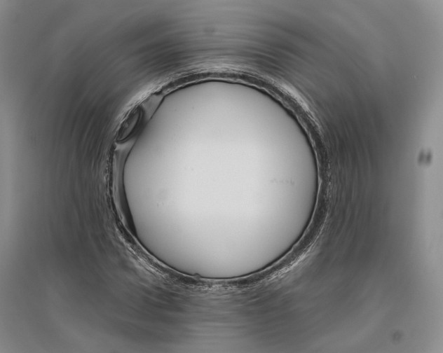 X0000096420922200802211120