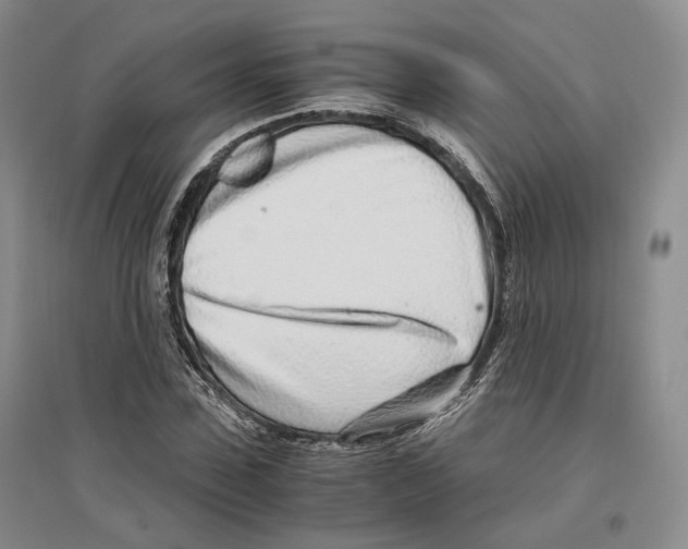 X0000096420923200802211120