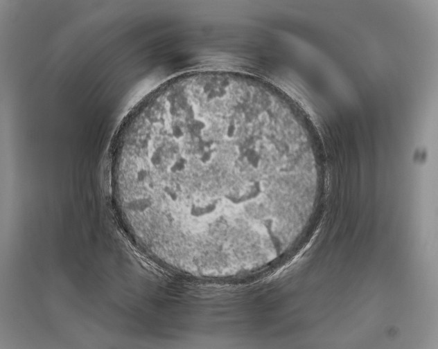 X0000096420925200802211120