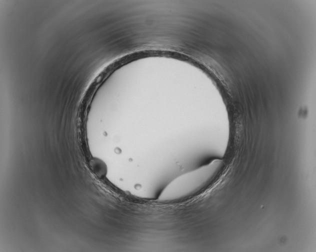 X0000096420926200802211120