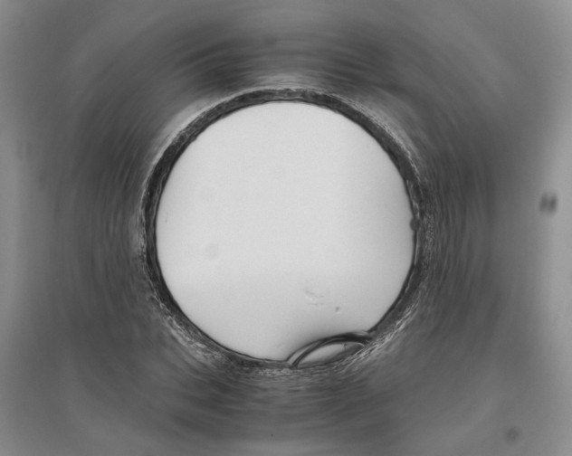X0000096420927200802211120