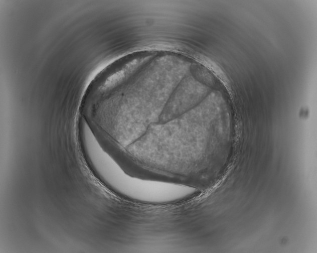 X0000096420928200802211120