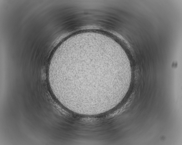 X0000096420929200802211120