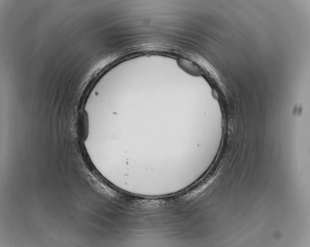 X0000096420930200802211120