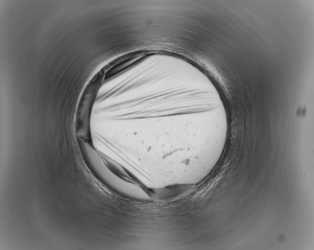 X0000096420932200802211120
