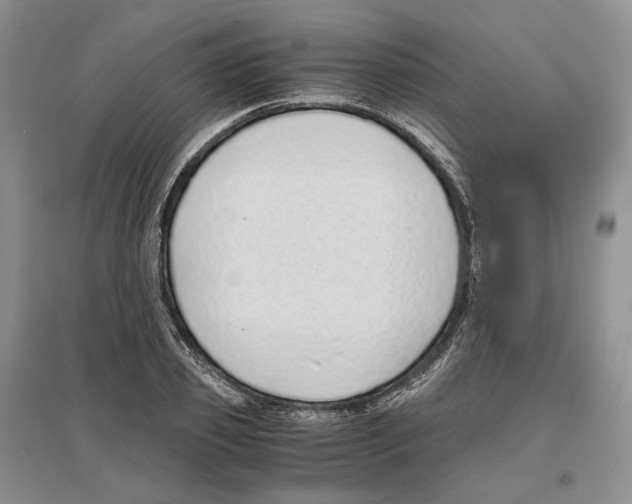 X0000096420933200802211120
