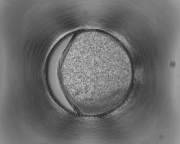 X0000096420934200802211120