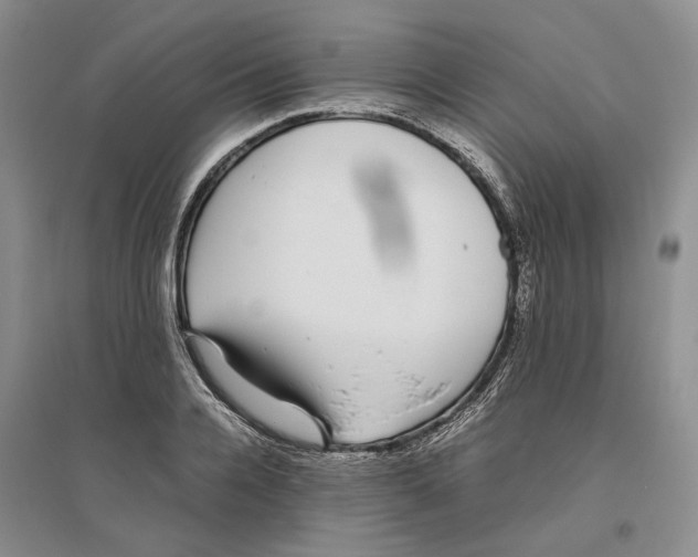 X0000096420936200802211120