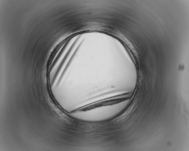 X0000096420939200802211120