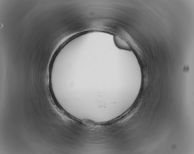 X0000096420940200802211120