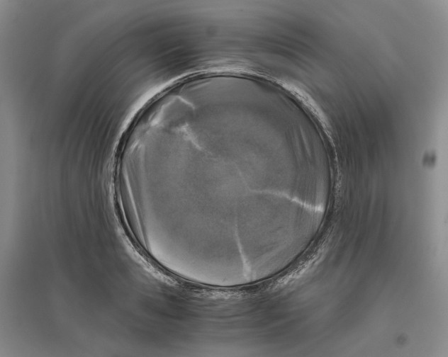 X0000096420941200802211120
