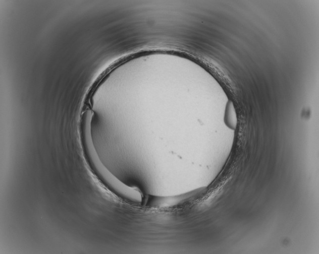 X0000096420942200802211120