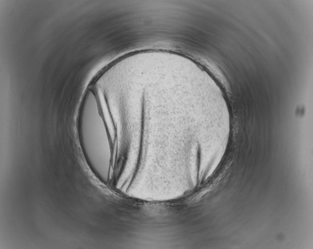 X0000096420944200802211120