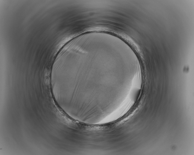X0000096420945200802211120