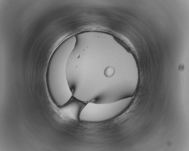 X0000096420946200802211121