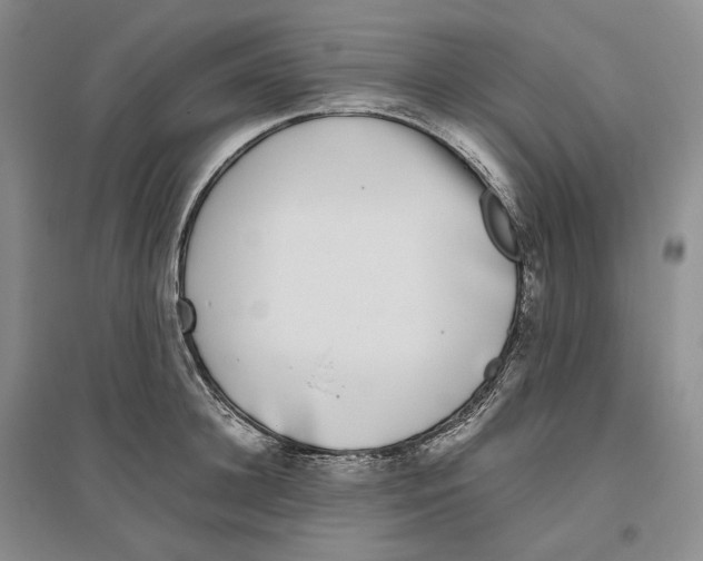X0000096420948200802211121