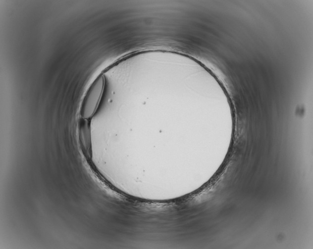 X0000096420949200802211121