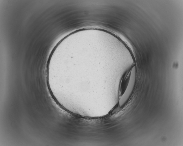 X0000096420951200802211121