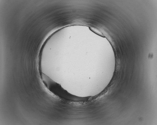 X0000096420955200802211121