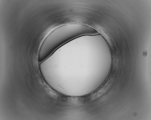 X0000096420956200802211121