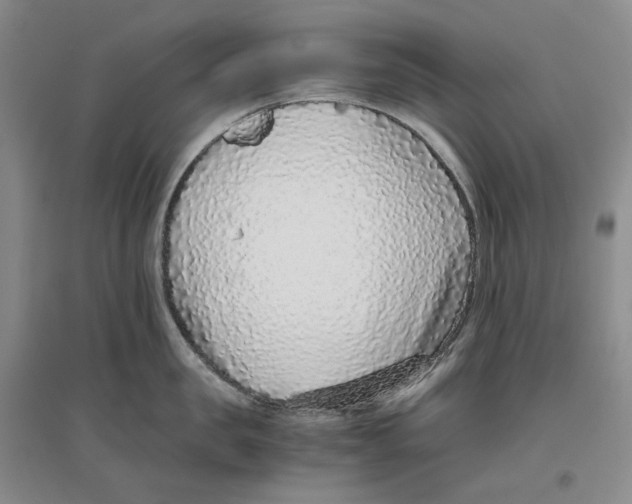 X0000096420957200802211121