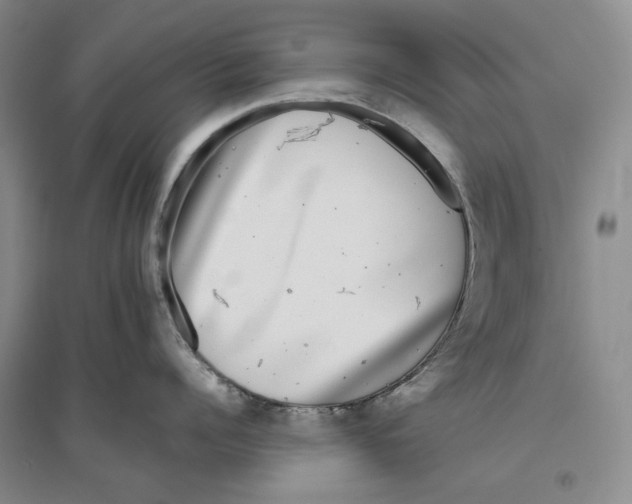 X0000096420960200802211121