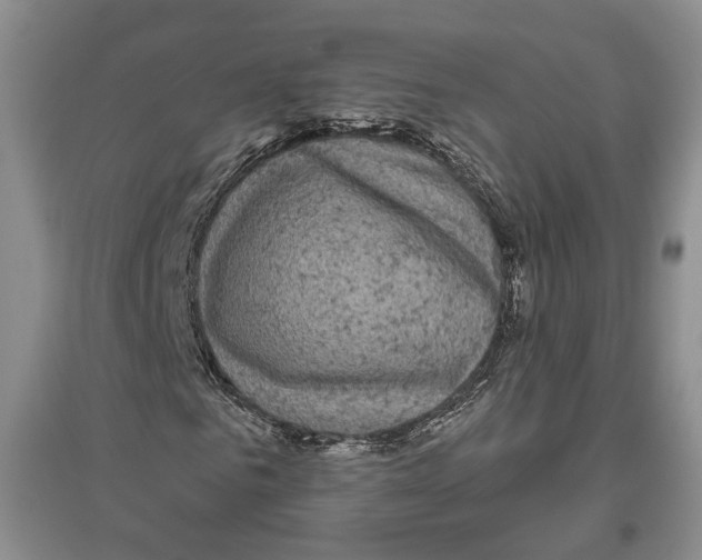 X0000096420961200802211120