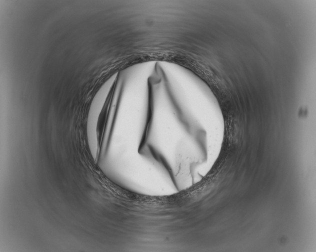 X0000096420962200802211120