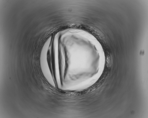 X0000096420963200802211120