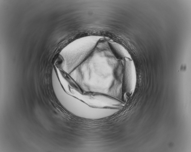 X0000096420964200802211120