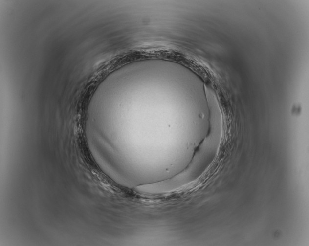 X0000096420965200802211120