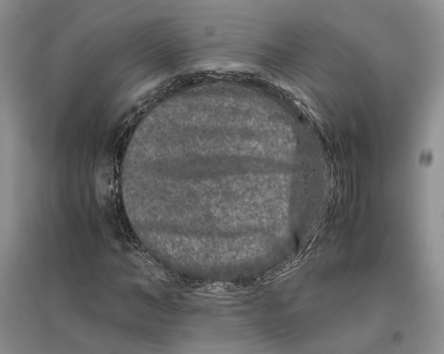 X0000096420966200802211120