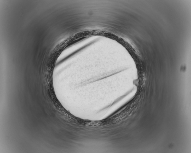 X0000096420967200802211120