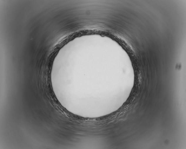 X0000096420968200802211120