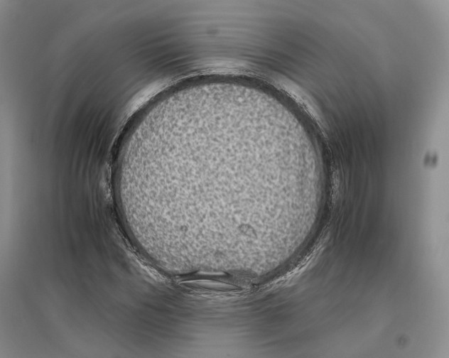X0000096420970200802211120