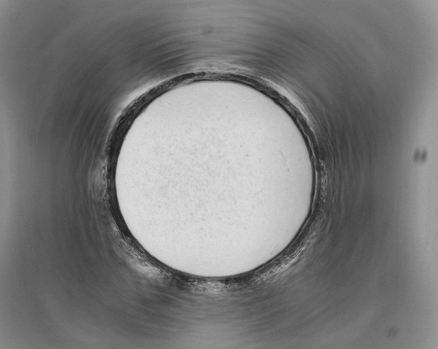 X0000096420971200802211120