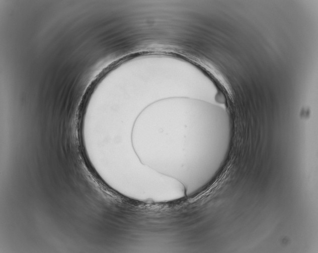 X0000096420972200802211120