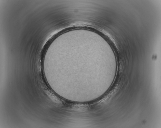 X0000096420973200802211120