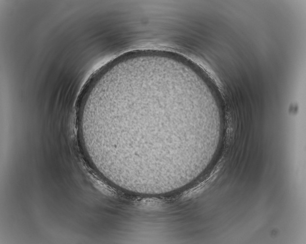 X0000096420974200802211120