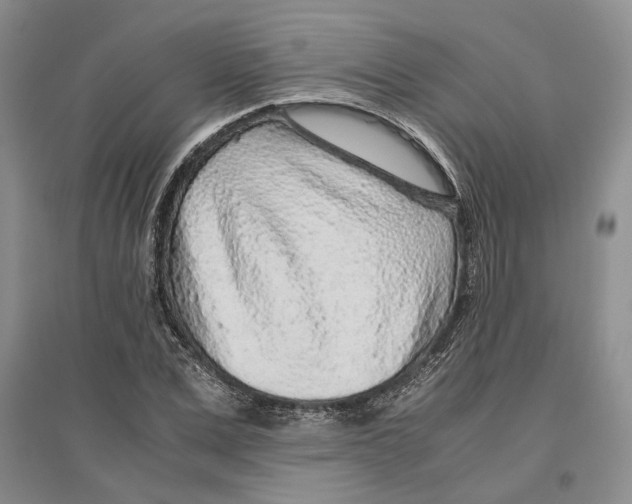 X0000096420975200802211120