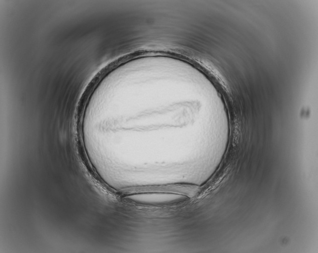 X0000096420976200802211120