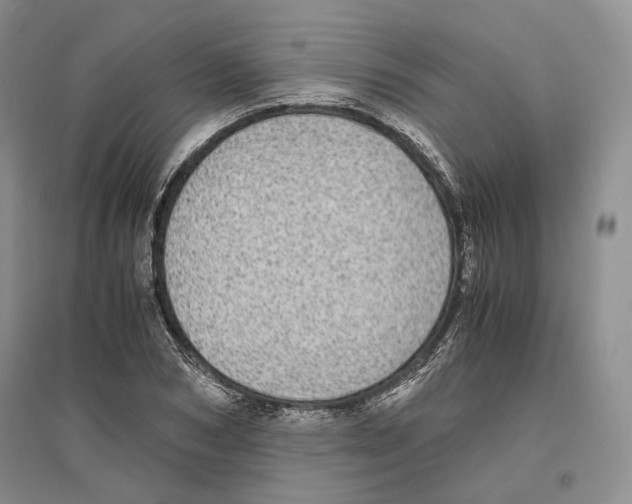 X0000096420978200802211120