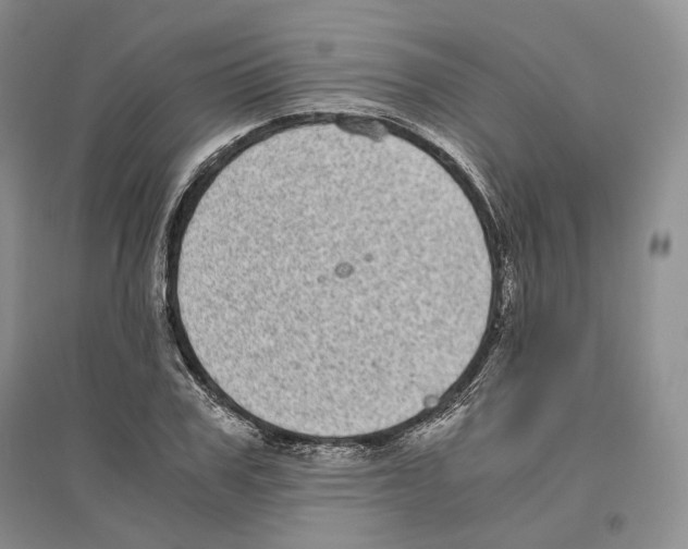 X0000096420979200802211120