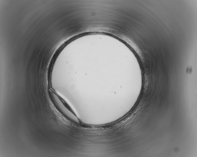 X0000096420980200802211120