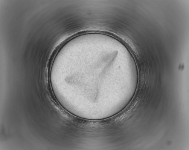 X0000096420982200802211120