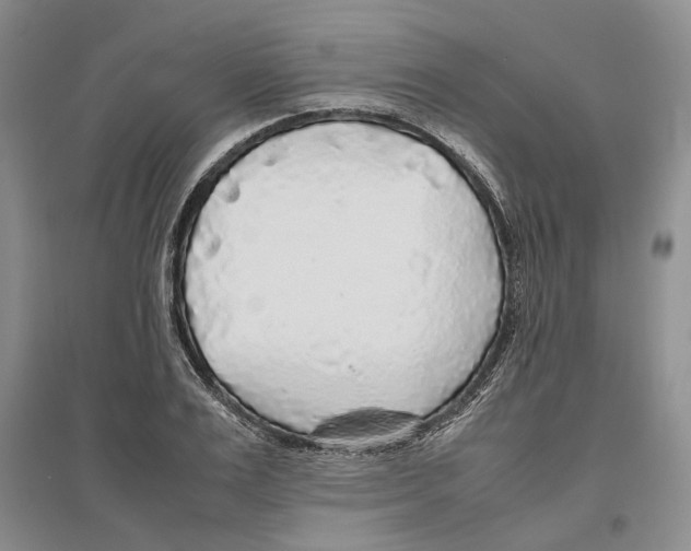 X0000096420983200802211120