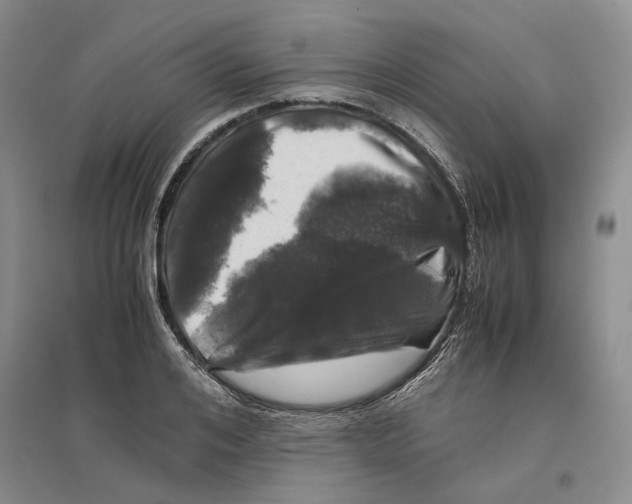 X0000096420984200802211120