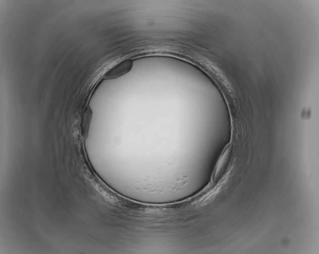 X0000096420985200802211120