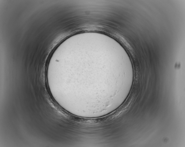 X0000096420986200802211120
